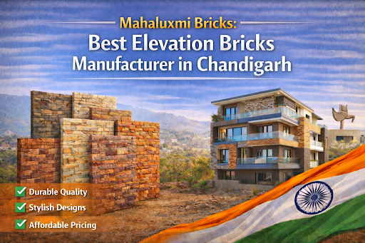Bricks Manufacturer in Chandigarh